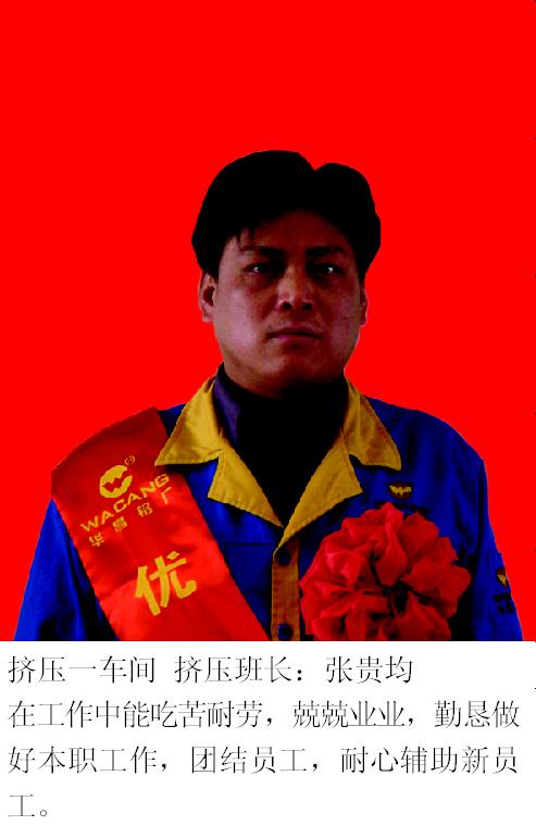 2008年度pg电子模拟器铝厂优异员工-伟昌铝材